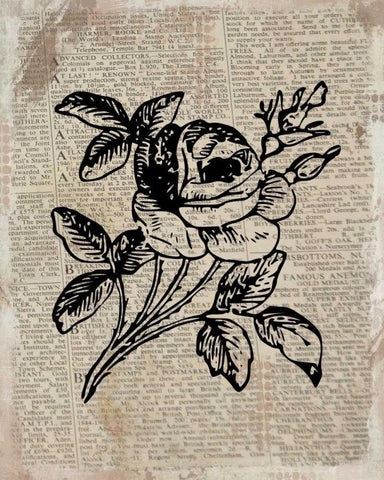 Floral On Print 2 White Modern Wood Framed Art Print with Double Matting by Allen, Kimberly