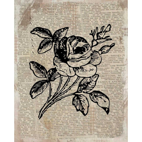 Floral On Print 2 Black Modern Wood Framed Art Print with Double Matting by Allen, Kimberly