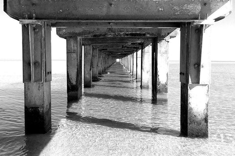 Beach Pier Black Ornate Wood Framed Art Print with Double Matting by Allen, Kimberly