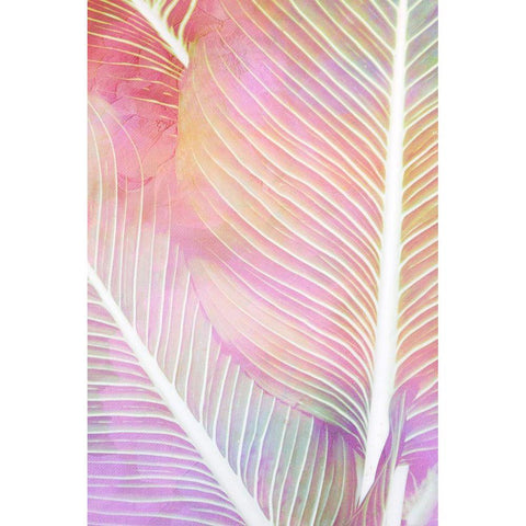 Tropical Palms 1 White Modern Wood Framed Art Print by Allen, Kimberly