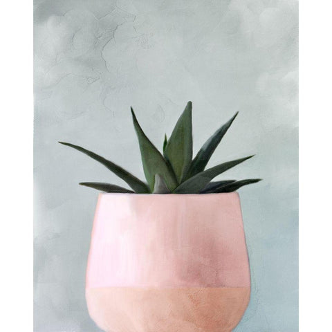 Potted Succulent 1 White Modern Wood Framed Art Print by Allen, Kimberly