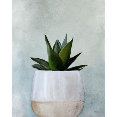 Potted Succulent 2 White Modern Wood Framed Art Print by Allen, Kimberly