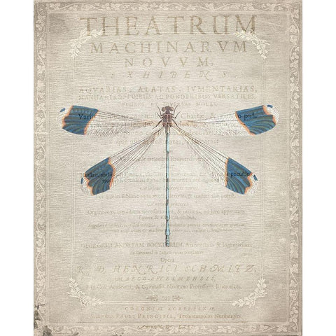 Dragonfly Book 1 Black Modern Wood Framed Art Print with Double Matting by Allen, Kimberly