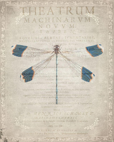 Dragonfly Book 1 White Modern Wood Framed Art Print with Double Matting by Allen, Kimberly