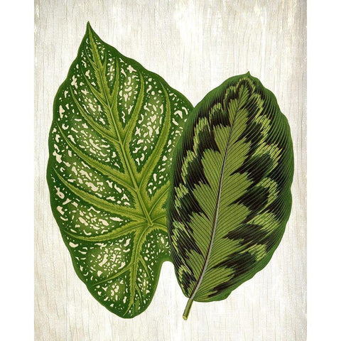 Botanical Greens 1 Gold Ornate Wood Framed Art Print with Double Matting by Allen, Kimberly