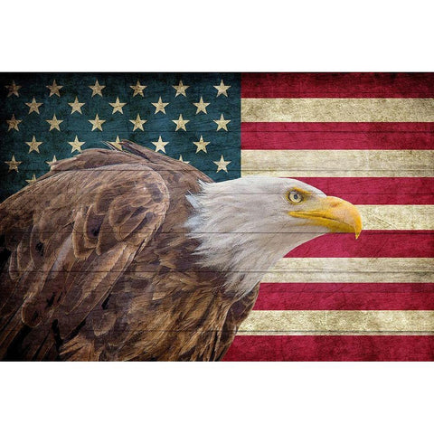 USA Eagle Black Modern Wood Framed Art Print with Double Matting by Allen, Kimberly