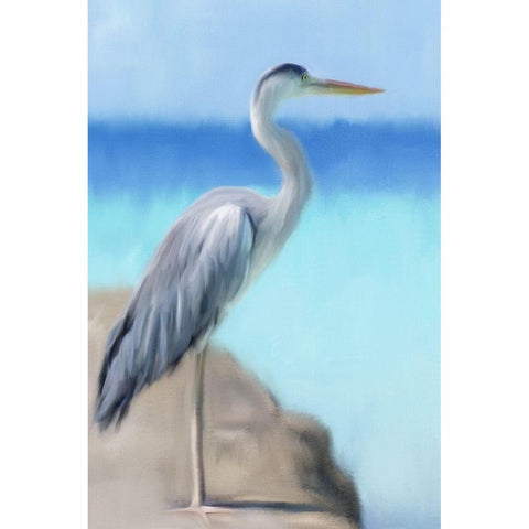 Sea Heron Gold Ornate Wood Framed Art Print with Double Matting by Allen, Kimberly