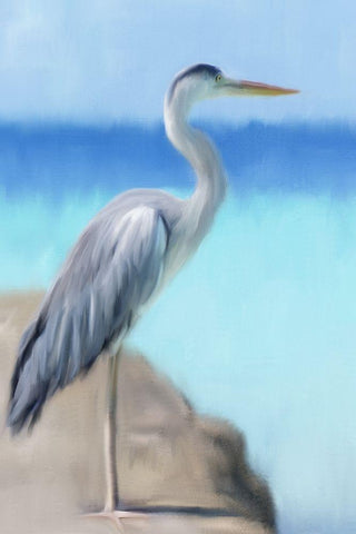 Sea Heron White Modern Wood Framed Art Print with Double Matting by Allen, Kimberly