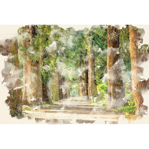Tree Avenue Black Modern Wood Framed Art Print with Double Matting by Allen, Kimberly