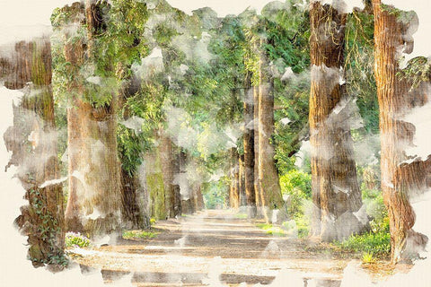 Tree Avenue White Modern Wood Framed Art Print with Double Matting by Allen, Kimberly