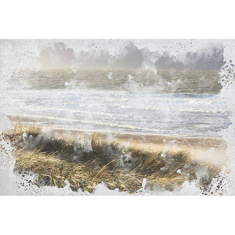 Beach Wave Gold Ornate Wood Framed Art Print with Double Matting by Allen, Kimberly