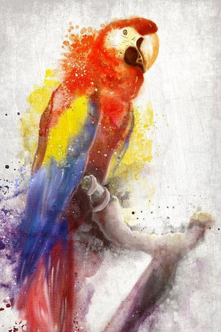 MaCaw White Modern Wood Framed Art Print with Double Matting by Allen, Kimberly