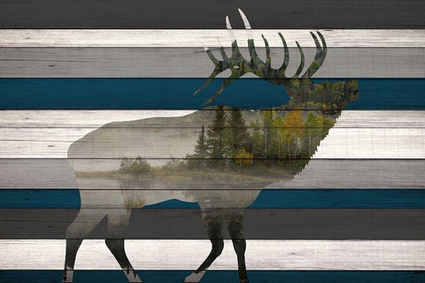 Elk Mountain Range Black Ornate Wood Framed Art Print with Double Matting by Allen, Kimberly