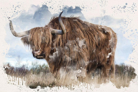 Long Horn White Modern Wood Framed Art Print with Double Matting by Allen, Kimberly