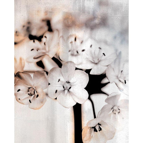 Leek Blossoms 1 Black Modern Wood Framed Art Print by Allen, Kimberly