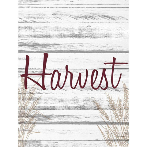 Harvest Black Modern Wood Framed Art Print with Double Matting by Allen, Kimberly