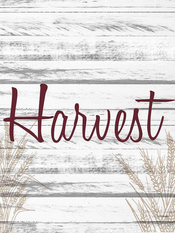 Harvest White Modern Wood Framed Art Print with Double Matting by Allen, Kimberly