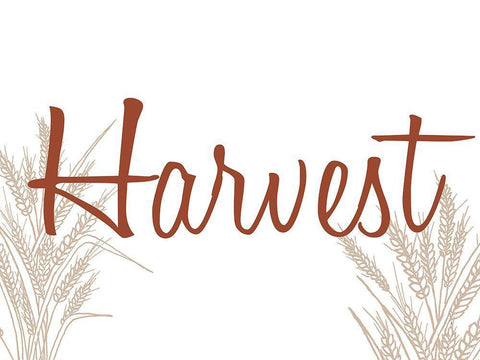 Harvest White Modern Wood Framed Art Print with Double Matting by Allen, Kimberly