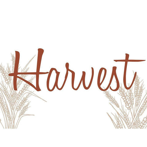 Harvest Black Modern Wood Framed Art Print by Allen, Kimberly