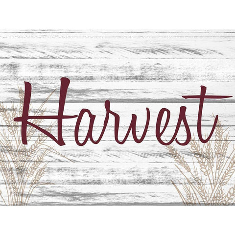 Harvest 2 White Modern Wood Framed Art Print by Allen, Kimberly