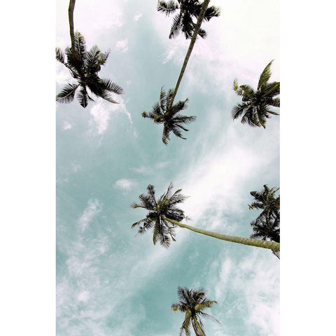 Palm Sky Gold Ornate Wood Framed Art Print with Double Matting by Allen, Kimberly