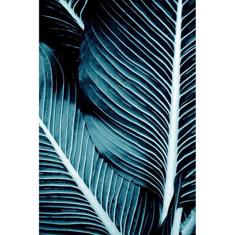 Tropical Blue 1 White Modern Wood Framed Art Print by Allen, Kimberly