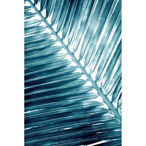 Tropical Blue 2 Black Modern Wood Framed Art Print with Double Matting by Allen, Kimberly