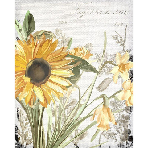 Wildflower Guide 1 Gold Ornate Wood Framed Art Print with Double Matting by Allen, Kimberly