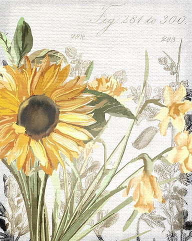 Wildflower Guide 1 Black Ornate Wood Framed Art Print with Double Matting by Allen, Kimberly