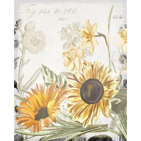 Wildflower Guide 2 Gold Ornate Wood Framed Art Print with Double Matting by Allen, Kimberly