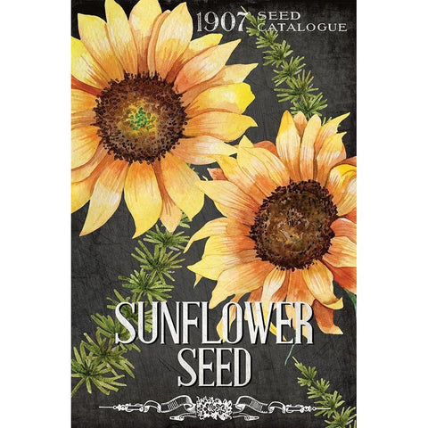 Sunflower Seed Black Modern Wood Framed Art Print by Allen, Kimberly