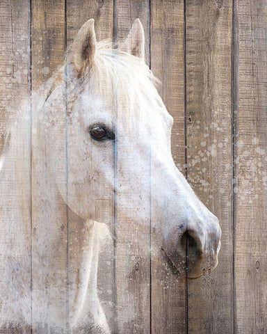 Painted White Black Ornate Wood Framed Art Print with Double Matting by Allen, Kimberly