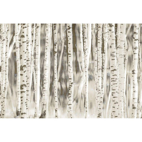 Birches Black Modern Wood Framed Art Print by Allen, Kimberly