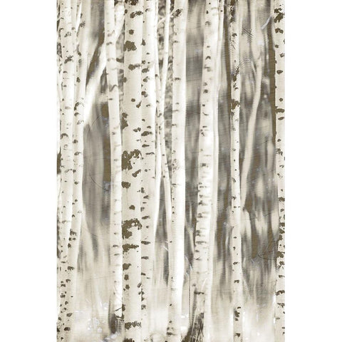 Birches 2 Black Modern Wood Framed Art Print with Double Matting by Allen, Kimberly