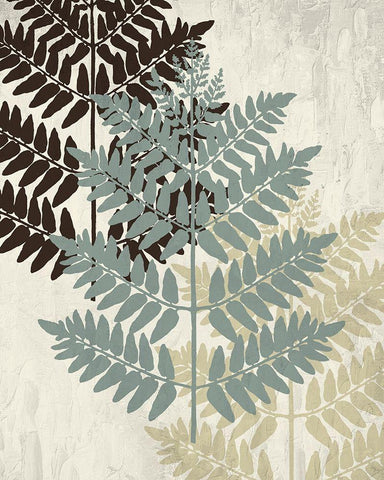 Fern 1 Black Ornate Wood Framed Art Print with Double Matting by Allen, Kimberly