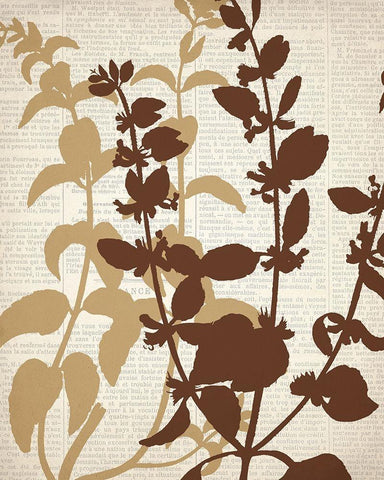 Newspaper 2 White Modern Wood Framed Art Print with Double Matting by Allen, Kimberly