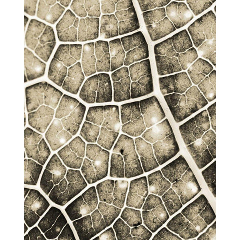 Eco Gold 2 Gold Ornate Wood Framed Art Print with Double Matting by Allen, Kimberly