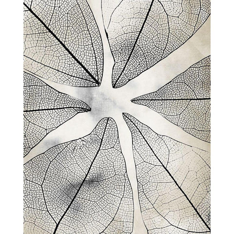 Transparent 1 Black Modern Wood Framed Art Print with Double Matting by Allen, Kimberly