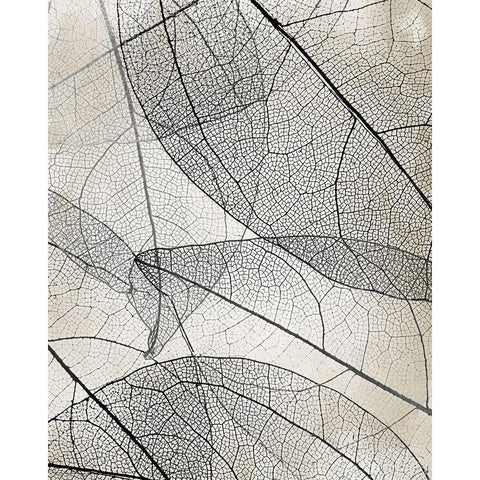 Transparent 2 Black Modern Wood Framed Art Print by Allen, Kimberly