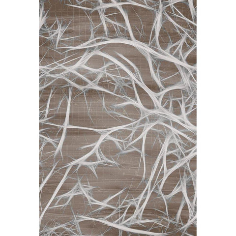 Branching 1 White Modern Wood Framed Art Print by Kimberly, Allen
