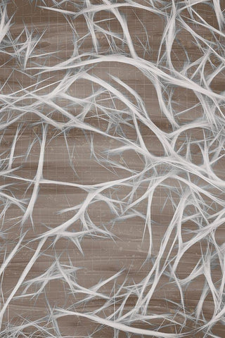 Branching 1 White Modern Wood Framed Art Print with Double Matting by Kimberly, Allen