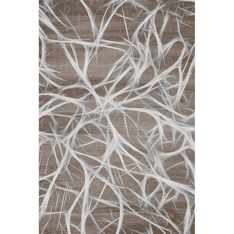 Branching 2 Black Modern Wood Framed Art Print by Kimberly, Allen