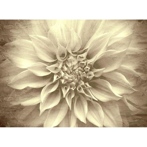 Amethyst White Modern Wood Framed Art Print by Allen, Kimberly