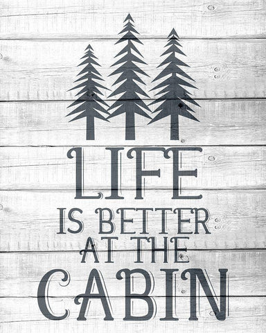 Lake House 6 Black Ornate Wood Framed Art Print with Double Matting by Allen, Kimberly