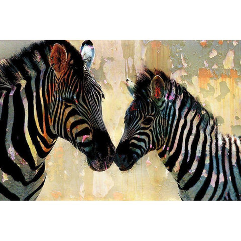 Zebra Love White Modern Wood Framed Art Print by Allen, Kimberly