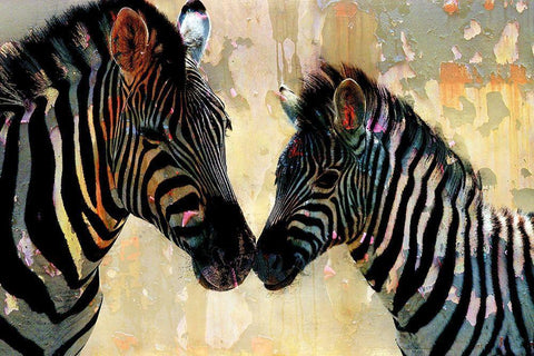 Zebra Love White Modern Wood Framed Art Print with Double Matting by Allen, Kimberly