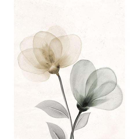 Open Bloom 1 White Modern Wood Framed Art Print by Allen, Kimberly
