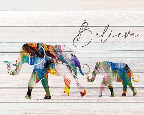 Believe Elephant White Modern Wood Framed Art Print with Double Matting by Allen, Kimberly