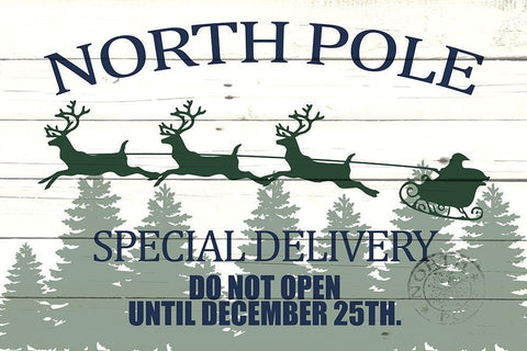 North Pole Special Delivery White Modern Wood Framed Art Print with Double Matting by Allen, Kimberly