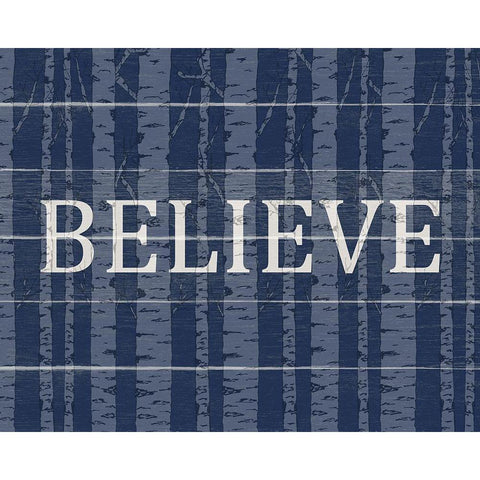 Believe Aspens Christmas Black Modern Wood Framed Art Print with Double Matting by Allen, Kimberly